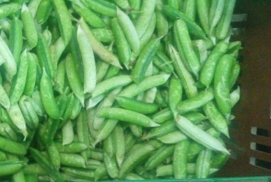 Arvejas en cáscara