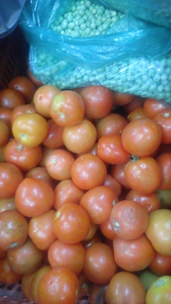 Tomate chonto de primera