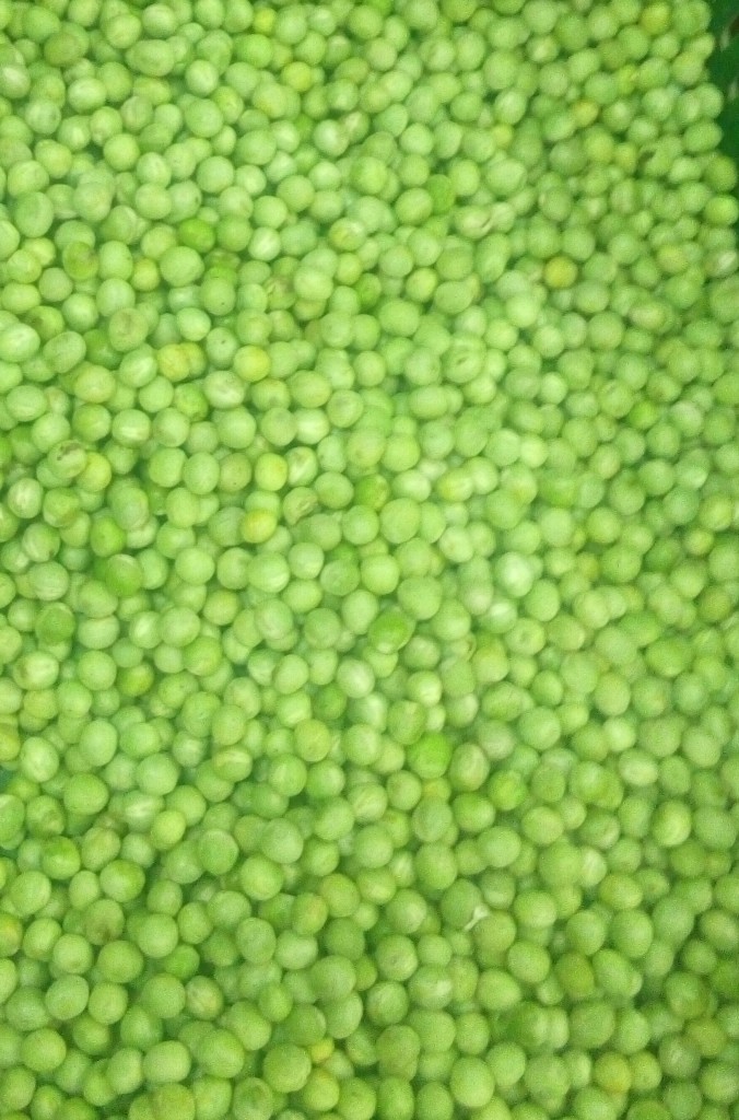 Arbejas