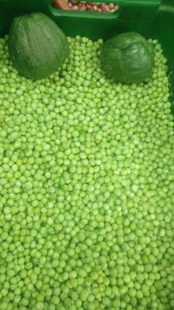 Arvejas