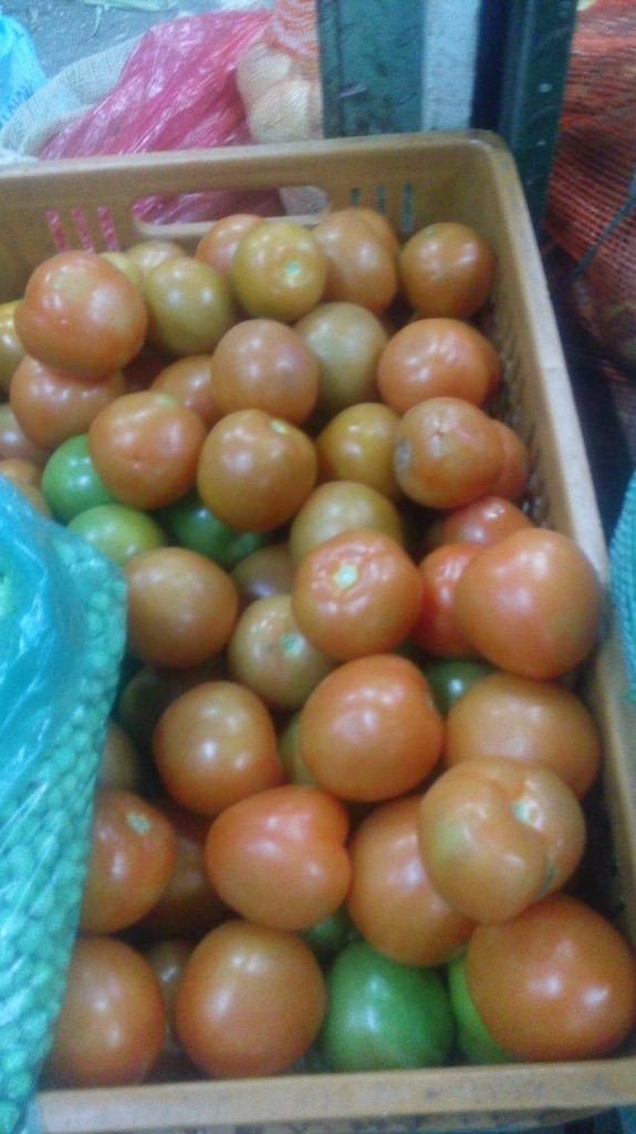 Tomate chonto de segunda