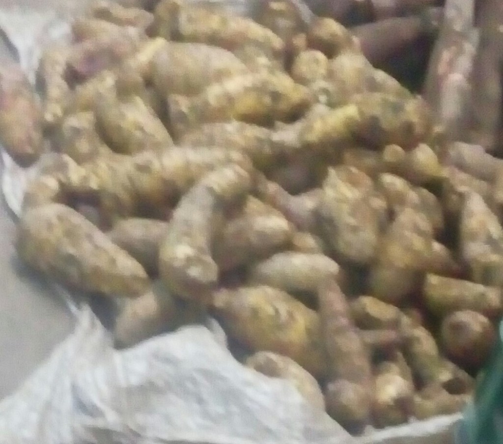 Arracacha