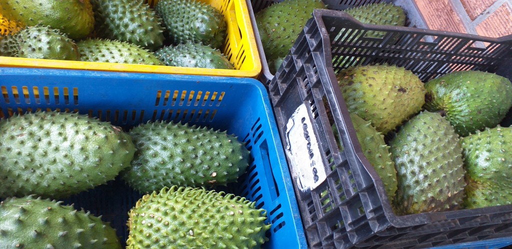 Guanabana