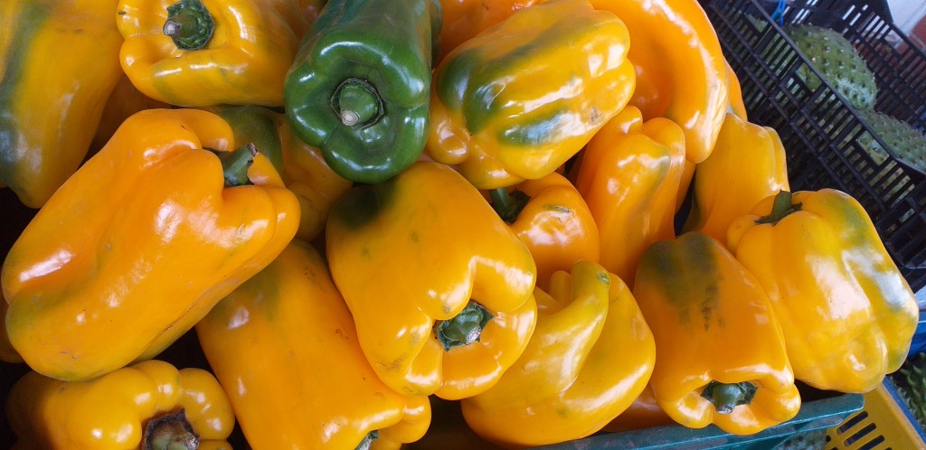 Pimenton amarillo