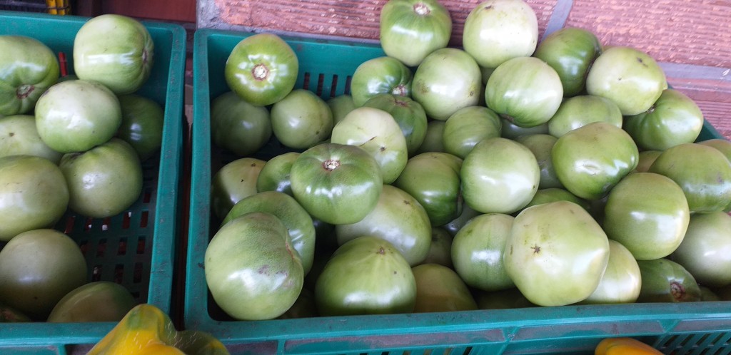 Tomate riñon
