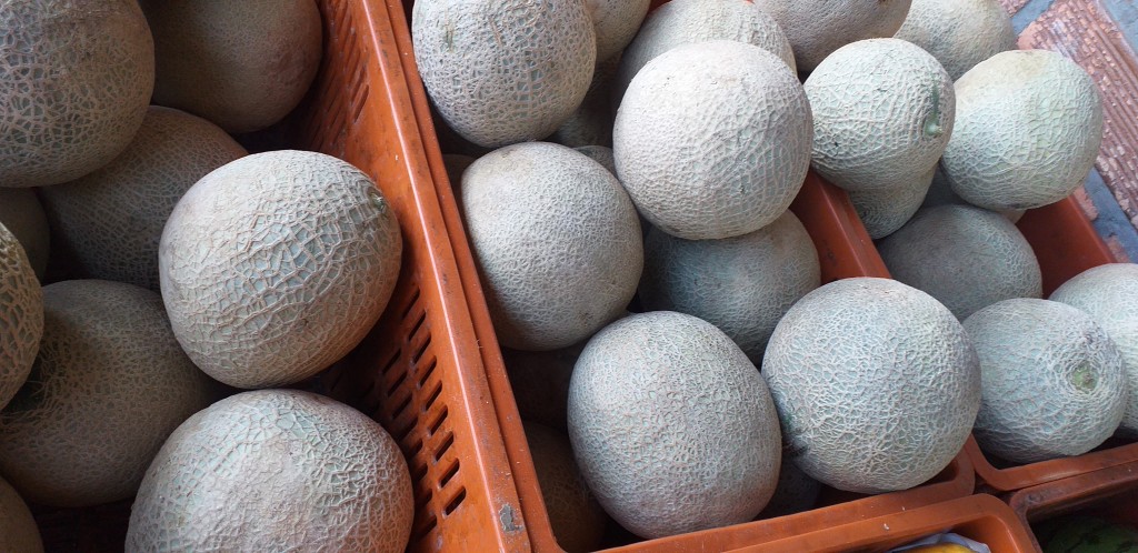 Melon