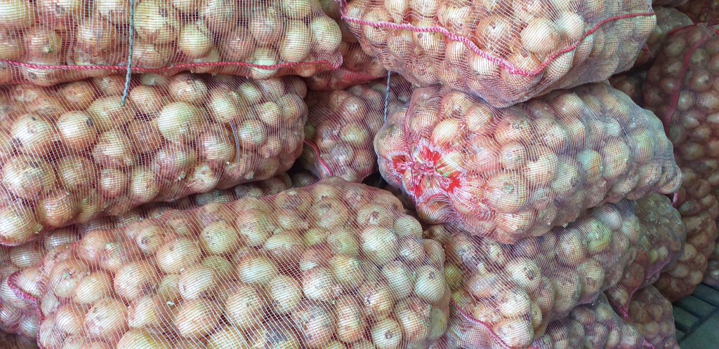 Cebolla blanca delgada