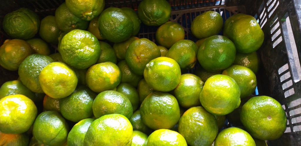 Mandarina oneco de 2da