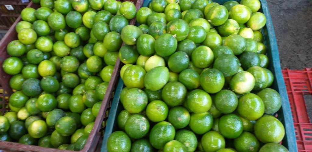 Limon tahiti