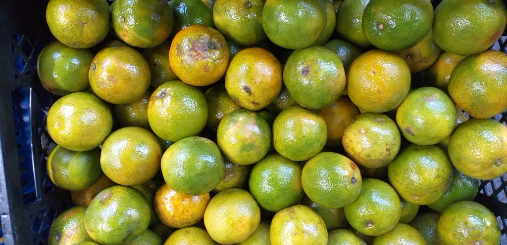 Naranja valencia de 2da