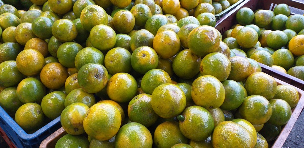 Naranja washington