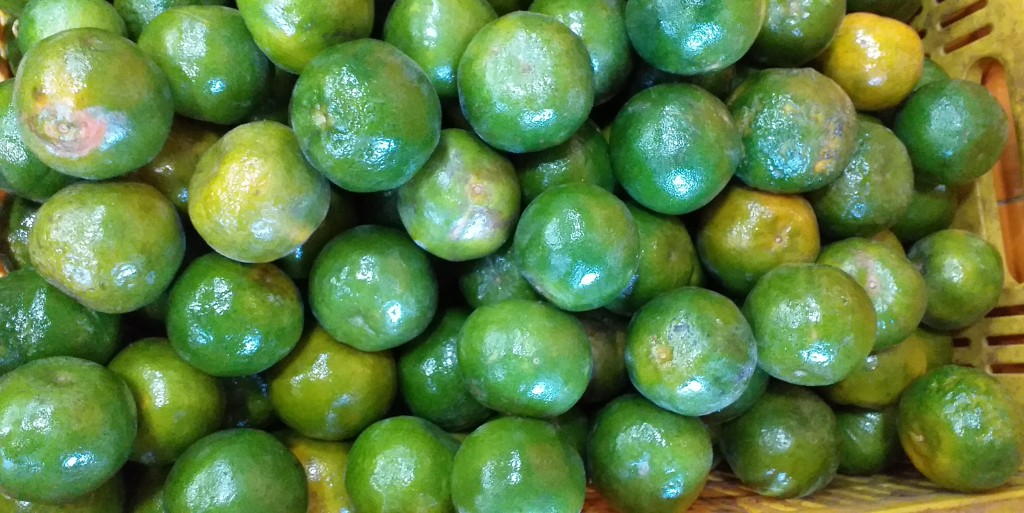 Mandarina oneco 2da