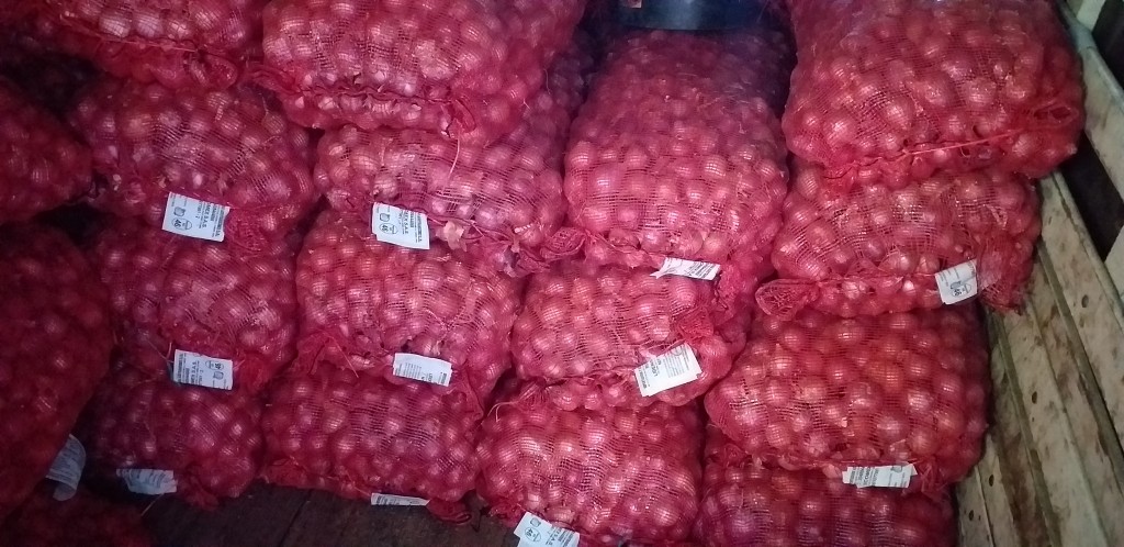 Cebolla peruana