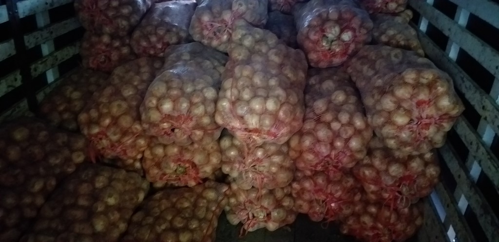 Cebolla blanca