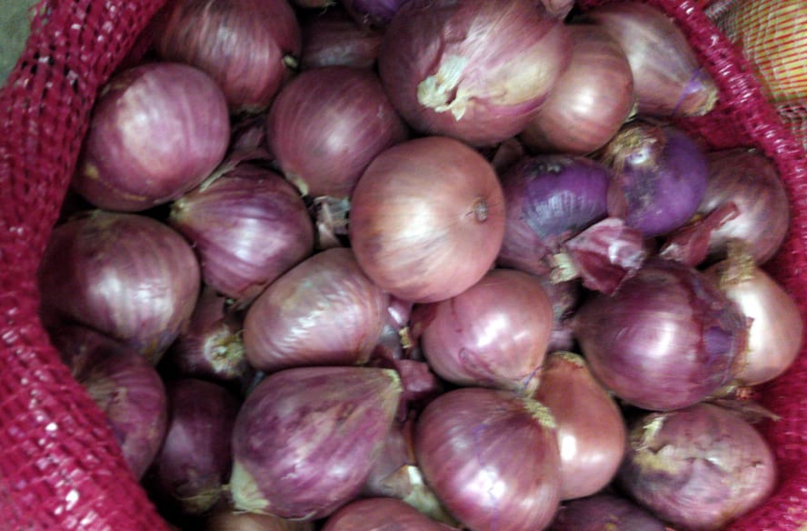 cebolla roja importada