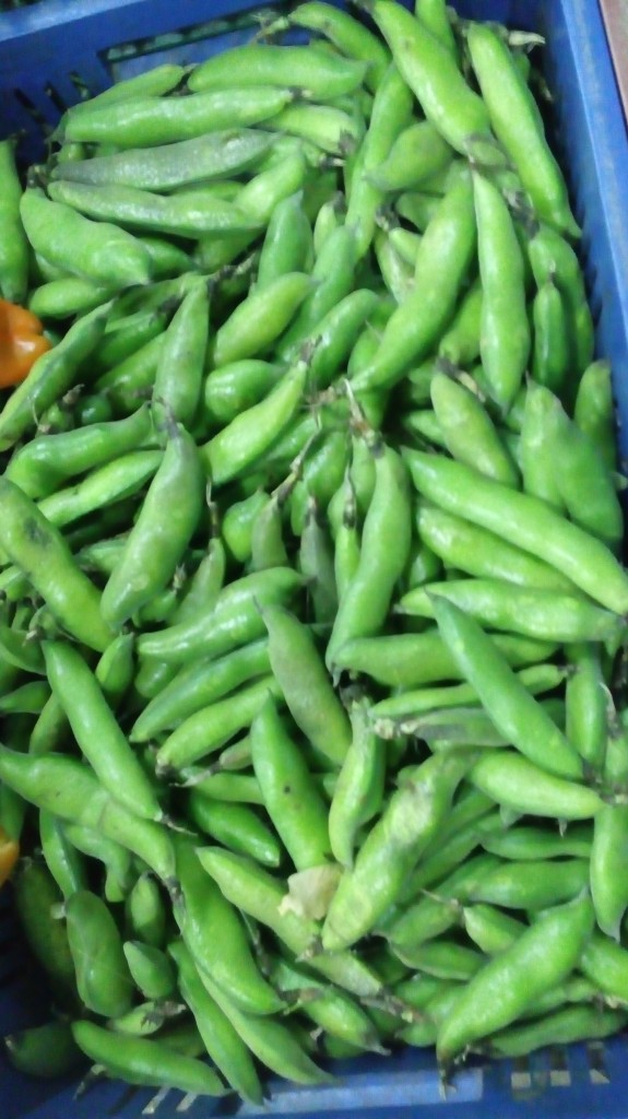 Abás en cascara