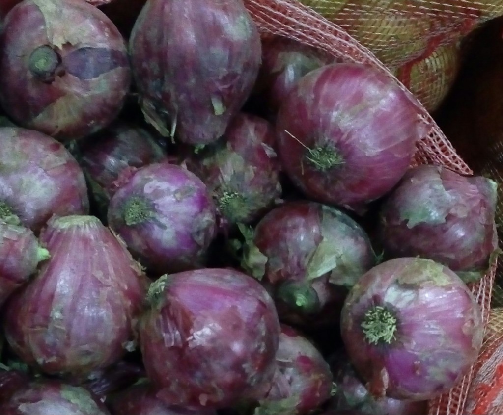 Cebolla cabezona morada delgada