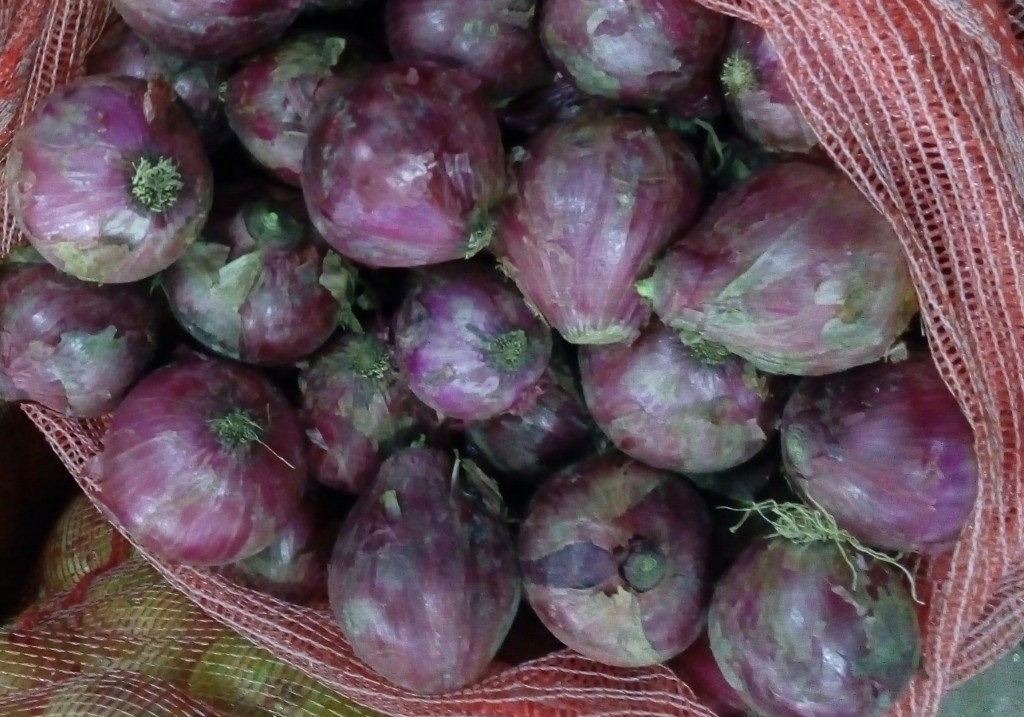 Cebolla cabezona morada