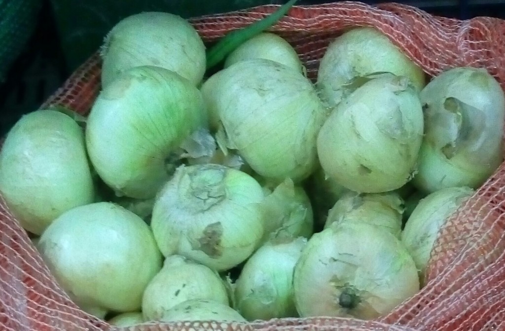 Cebolla cabezona