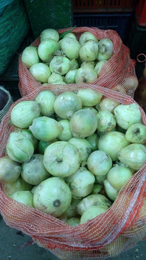 Cebolla cabezona