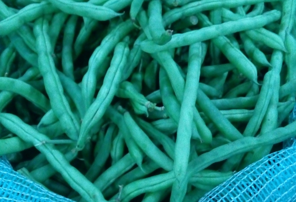 Habichuelas de primera