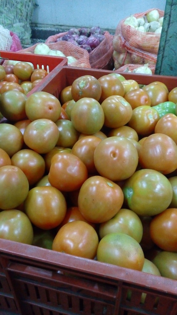 Tomate chonto de segunda