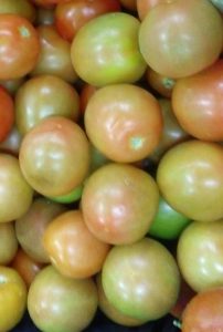 Tomate chonto de primera