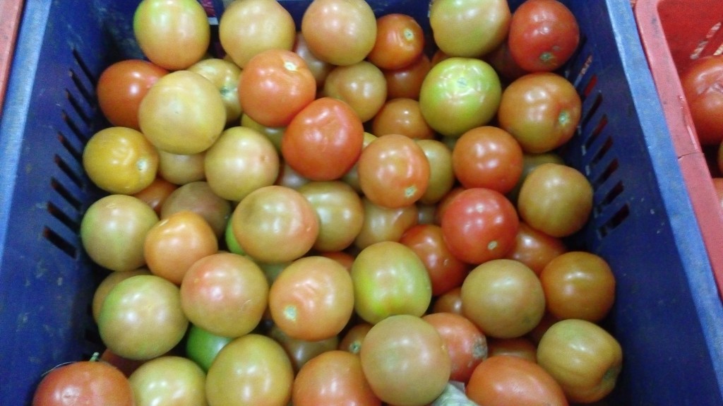 Tomate chonto de tercera