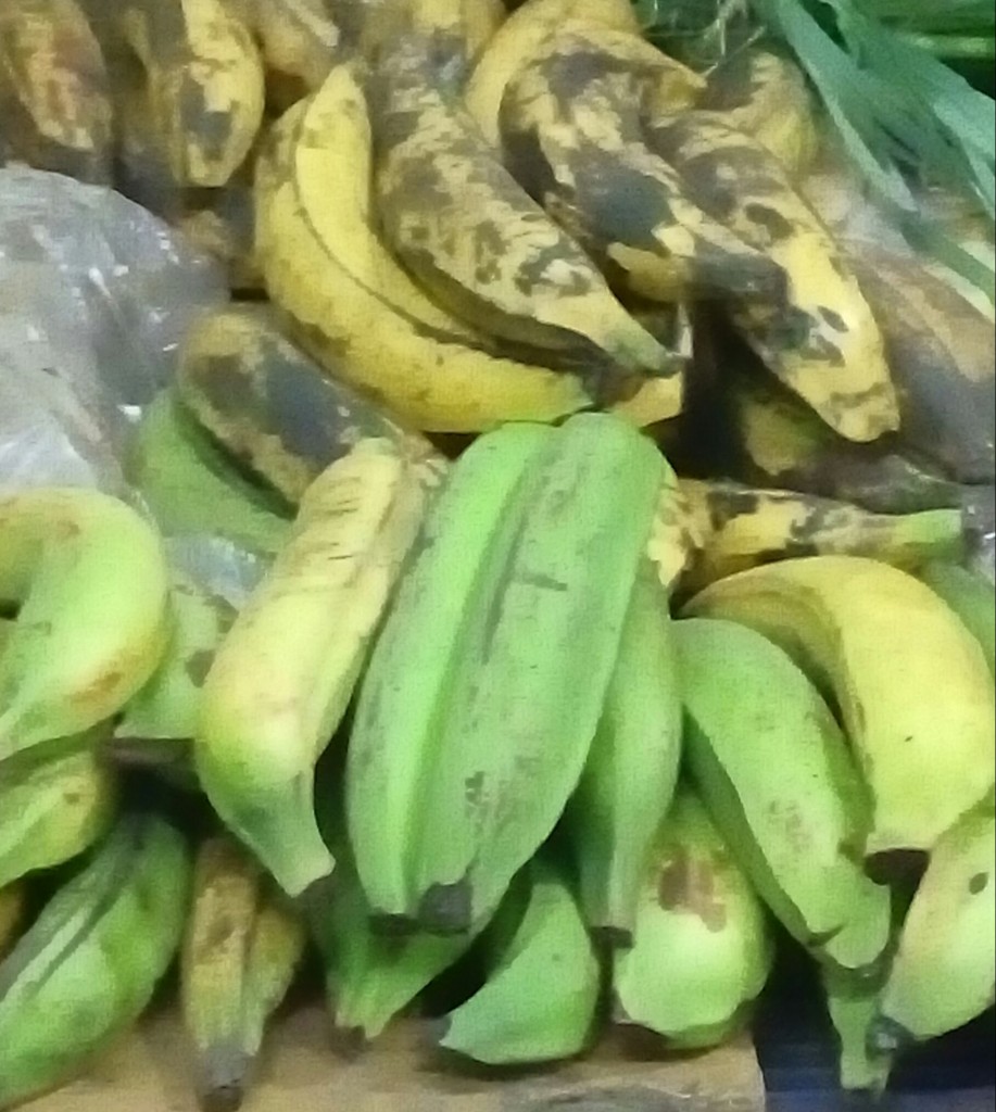Platano
