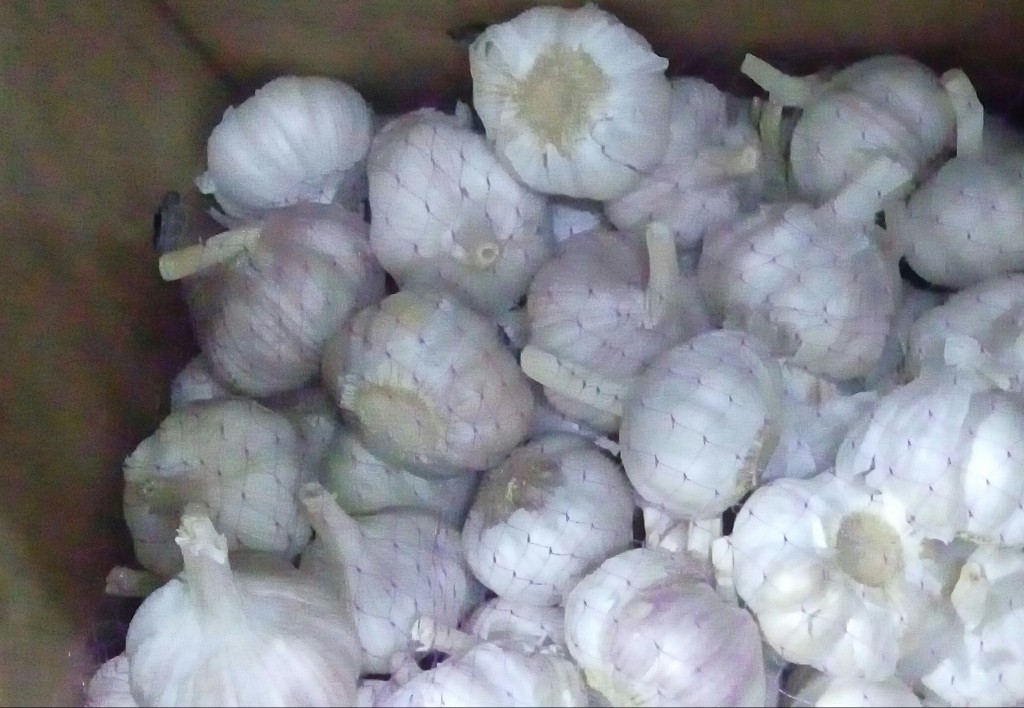 Ajo blanco