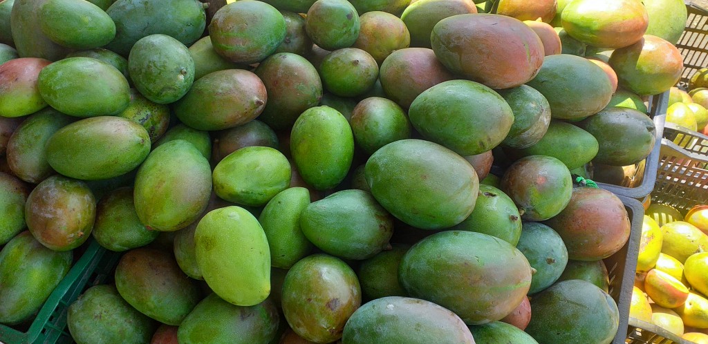 Mango farchi