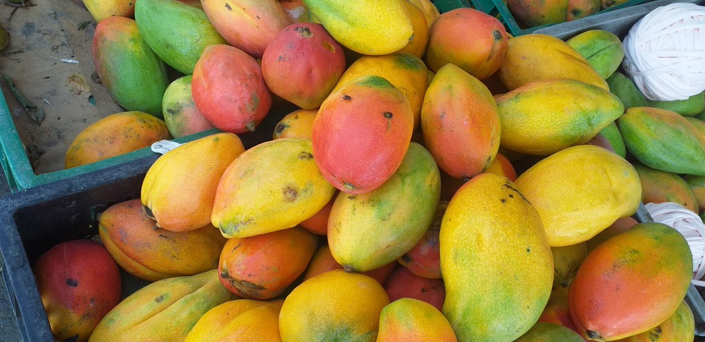 Mango durazno