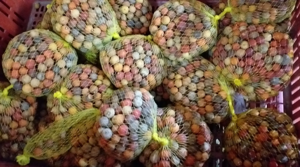 Corozo en malla