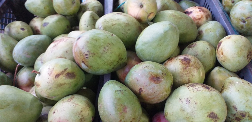 Mango filipino