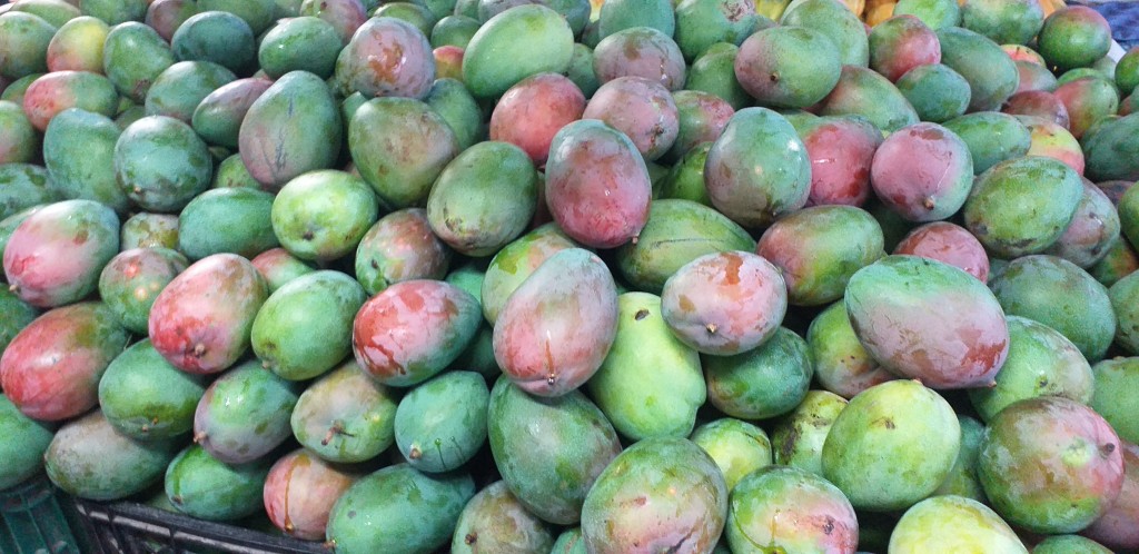 Mango farchi