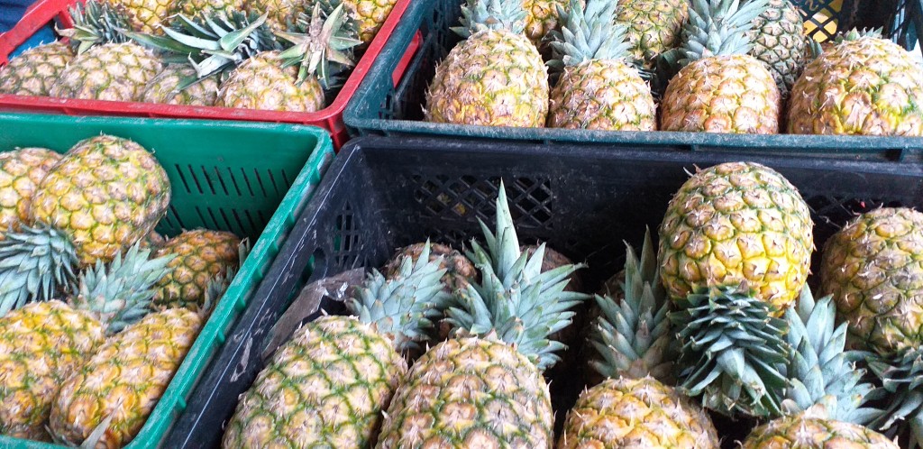 Piña oromoriel