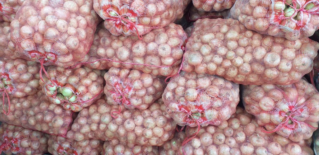 Cebolla blanca