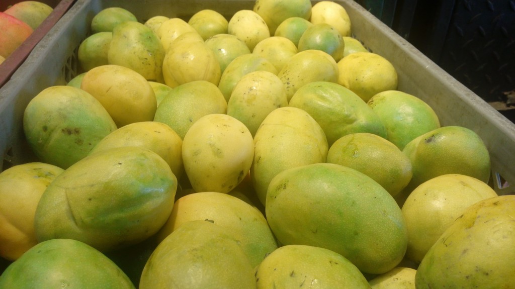 Mango comun