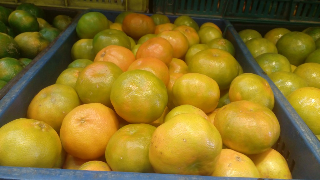 Mandarina ecuatoriana