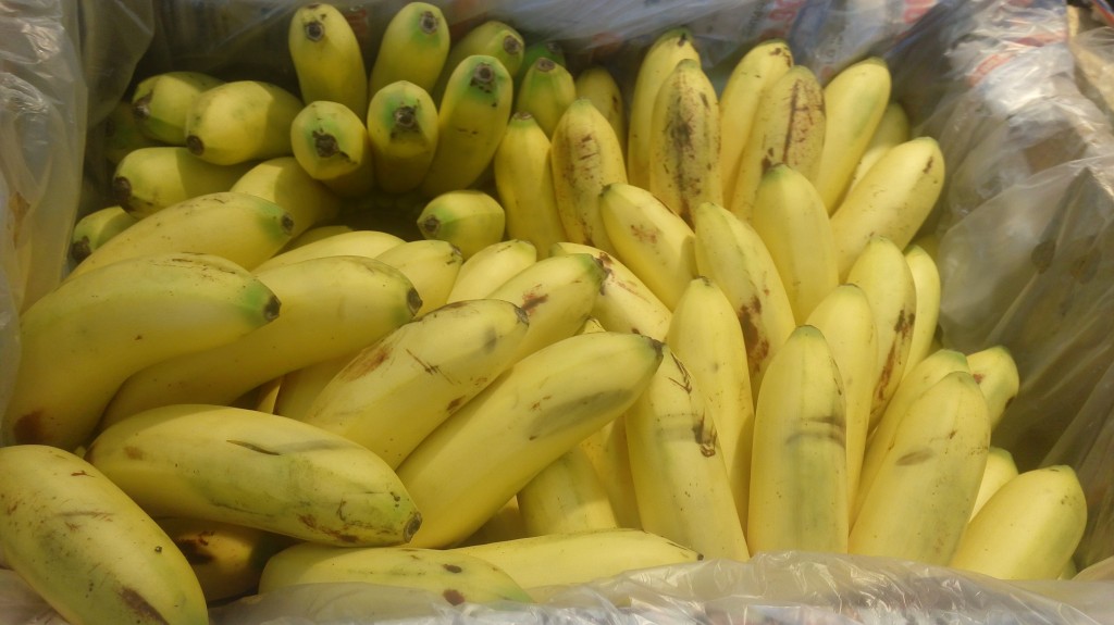 Banano bocadillo selecto