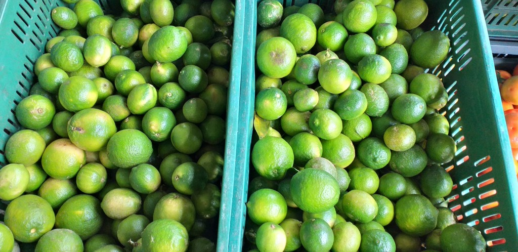 Limon tahiti