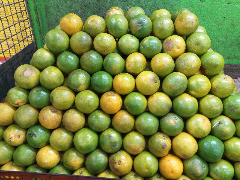 Naranja de primera