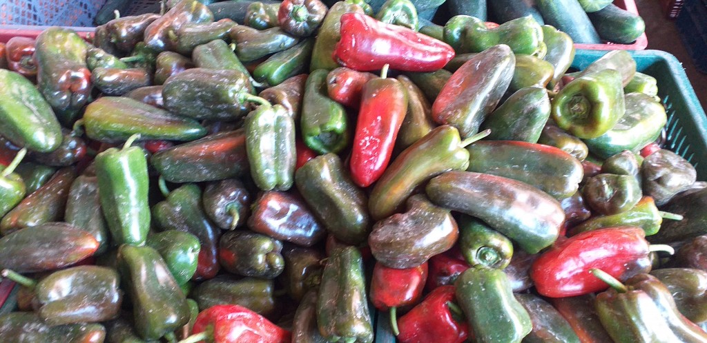 Pimenton verde