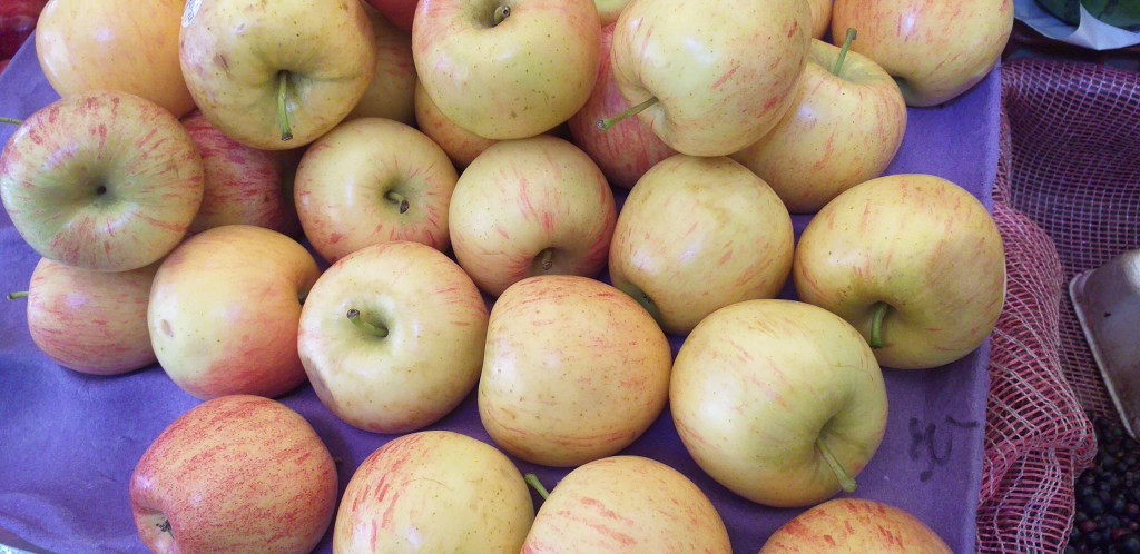 Manzana gala