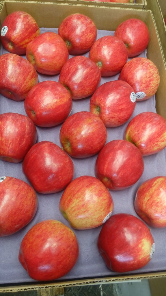 Manzana Royal gala calibre 100