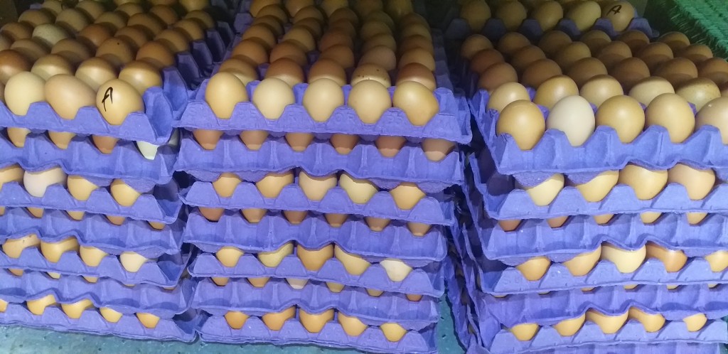 Huevos tipo A