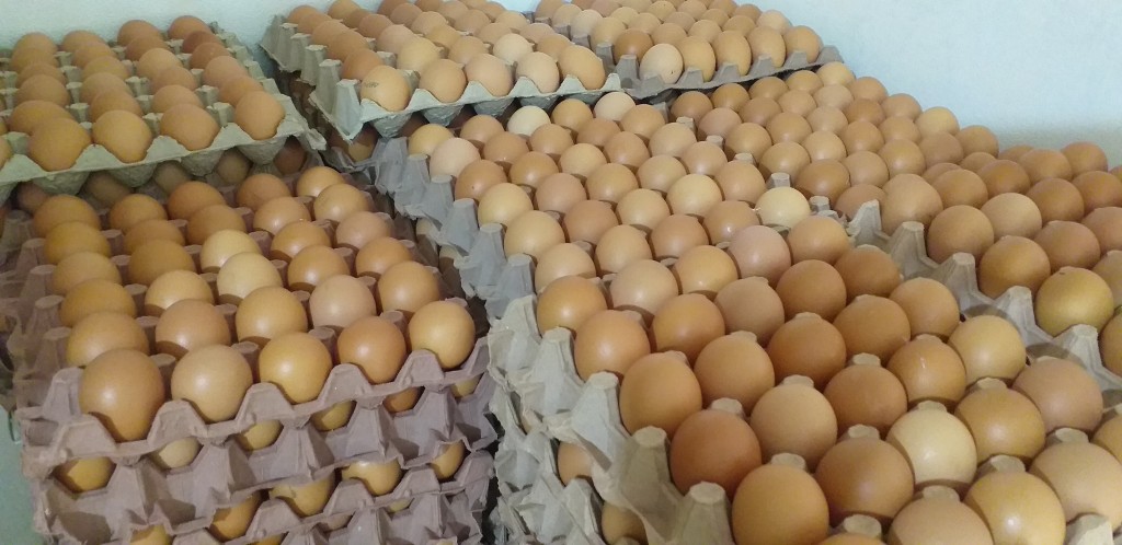 Huevos tipo AA