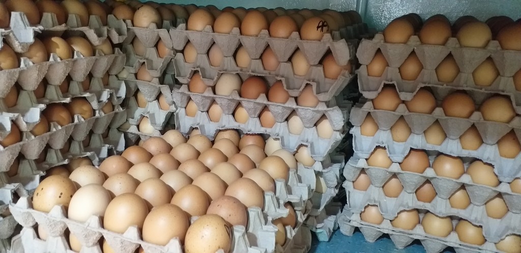 Huevos tipo AAA