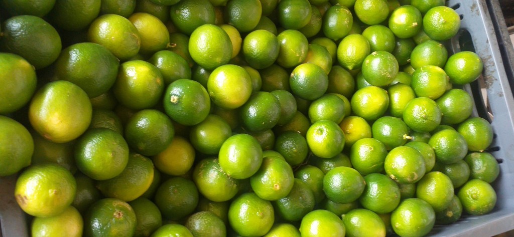 Limon tahiti delgado