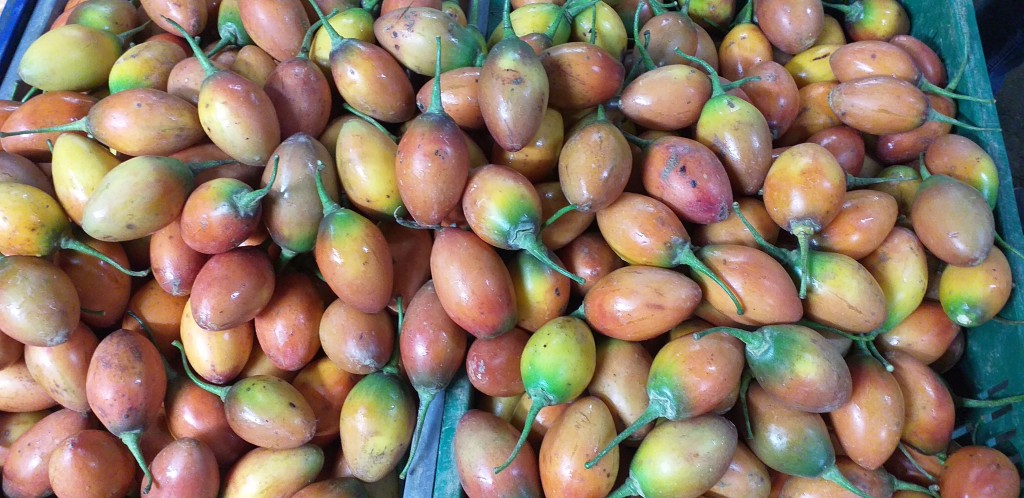 Tomate de arbol